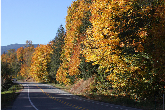 October Washington Road