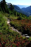 Alpine Path