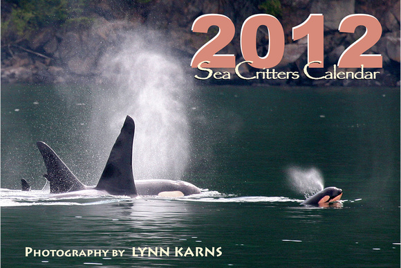 2012 Sea Critters Calender Cover