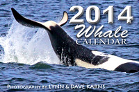 2014 Whale Calendar